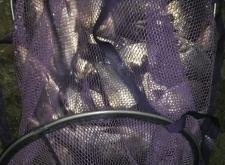 赤峰黑坑魚(yú)回收電話號(hào)碼查詢