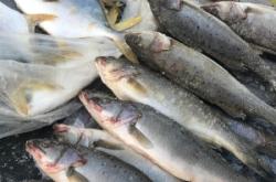 赤峰牛營子桔梗咸菜廠電話號碼