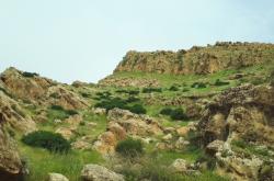 赤峰紅廟子中正飼料廠電話號碼
