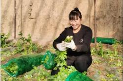 赤峰勞道炸雞店電話號碼多少