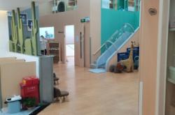 赤峰紅山區(qū)沙發(fā)廠電話號(hào)碼