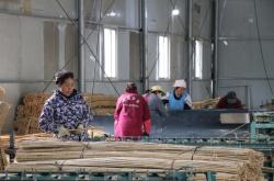 赤峰竹條廠電話多少號(hào)啊