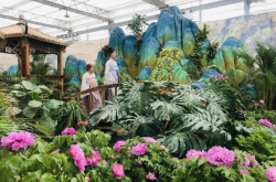 赤峰花客鮮花店電話地址查詢