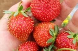 赤峰喀喇沁集貿(mào)市場電話號碼