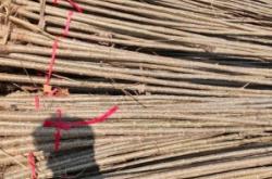 內(nèi)蒙古赤峰種植基地電話號碼