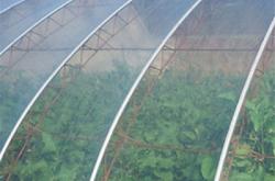 赤峰農(nóng)膜廠家電話多少啊