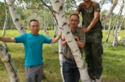 西烏旗到赤峰的汽車(chē)電話是多少