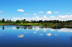 赤峰到白音塔拉汽車票