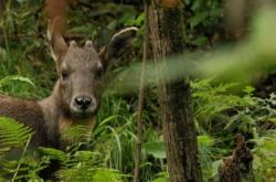 赤峰鳥獸市場(chǎng)地址電話號(hào)碼查詢