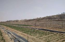 赤峰承包菜園電話號碼查詢是多少