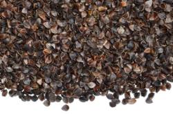 赤峰黑蕎麥枕頭專賣(mài)店電話號(hào)碼