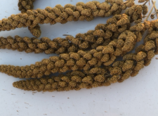 赤峰酸奶棒批發(fā)電話號(hào)碼查詢