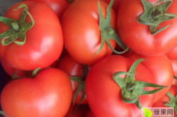 赤峰寧城縣收兔子的電話號(hào)碼