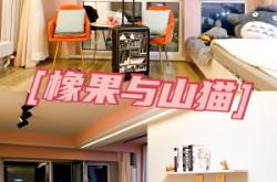 赤峰橋北丟貓電話多少號