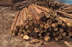 赤峰檁條加工廠家電話號(hào)碼