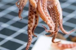 赤峰時光煮雨海鮮店電話號碼