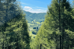 赤峰美林谷滑雪團(tuán)電話號(hào)碼多少