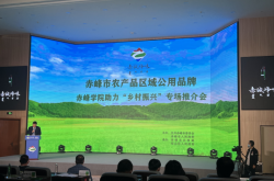 赤峰弘碩五金店電話號(hào)碼