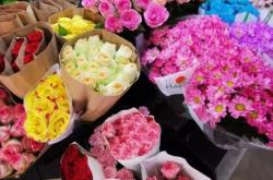 赤峰元寶山花卉市場