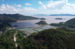 赤峰魚(yú)塘度假村電話(huà)號(hào)碼查詢(xún)