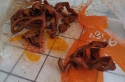 赤峰萬(wàn)達(dá)兒童餐飲電話號(hào)碼查詢