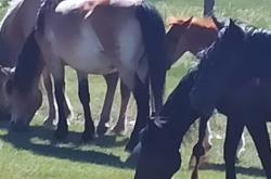 赤峰市宏奧物流客服電話號碼