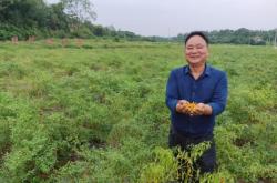 赤峰塔子辣椒種植基地電話號碼
