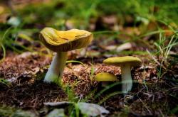 赤峰山貨交易市場地址電話號(hào)碼