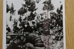 赤峰日軍司令部電話是多少號