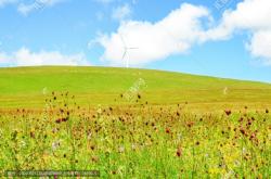 赤峰草原精品酒店電話(huà)多少號(hào)