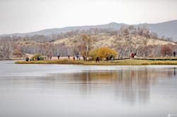 赤峰斯托納經(jīng)銷(xiāo)商電話(huà)地址查詢(xún)