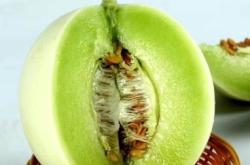 赤峰市批發(fā)香瓜電話號(hào)碼查詢