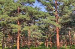 赤峰動(dòng)物園橋北店電話號(hào)碼