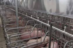 赤峰市牧原農(nóng)牧公司電話號(hào)碼