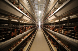 赤峰養(yǎng)殖配電箱廠家電話號(hào)碼