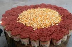 赤峰市燒火柴批發(fā)電話號碼