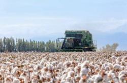 赤峰棉花糖廠地址查詢電話號(hào)碼