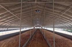 赤峰豬棚加溫鍋爐廠商電話號(hào)碼