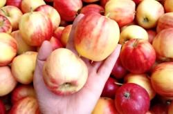 赤峰桃喜童裝店地址電話號碼