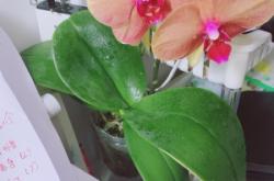 赤峰花卉市場(chǎng)垃圾站電話號(hào)碼