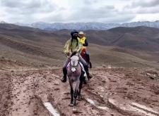 赤峰樂馭馬術(shù)館電話多少號