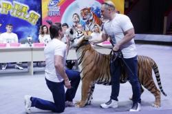 赤峰鐵南大馬戲團(tuán)電話號(hào)碼