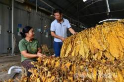 赤峰市煙絲批發(fā)電話地址查詢