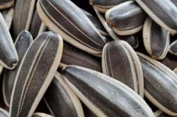 赤峰旺隆批發(fā)市場電話號碼