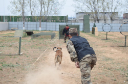赤峰市軍犬基地電話號(hào)碼