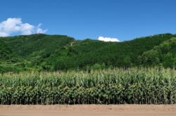 赤峰黑里河酒廠聯(lián)系電話號碼