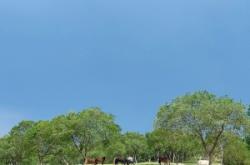 橋北赤峰租車(chē)公司電話號(hào)碼查詢(xún)