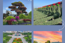 赤峰火花路獅子府電話號(hào)碼查詢