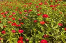 赤峰松山區(qū)富河社區(qū)電話(huà)是多少