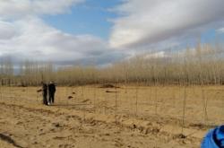 赤峰市林西縣獸醫(yī)電話號碼